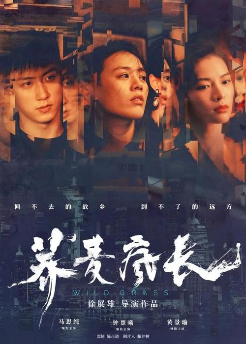 纽芬兰纪念大学学位证电子图
